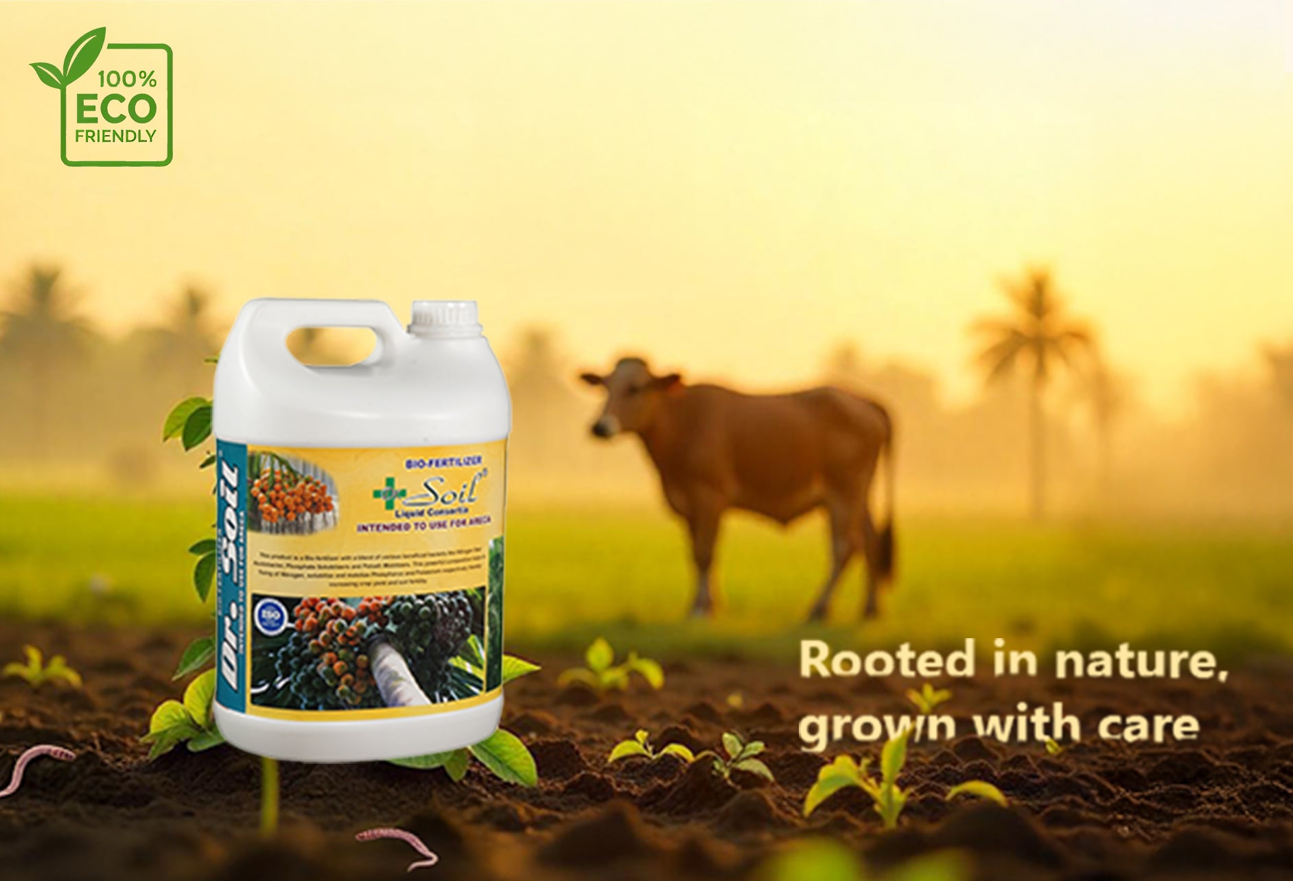 Dr. Soil Intended to use for Areca