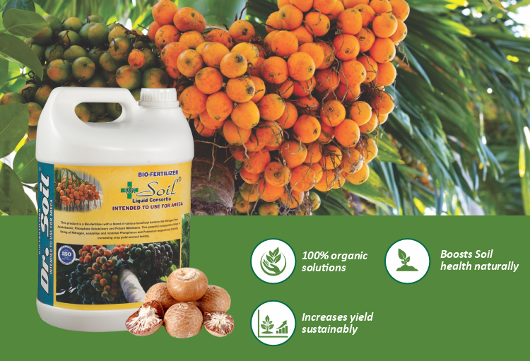 Dr. Soil Intended to use for Areca