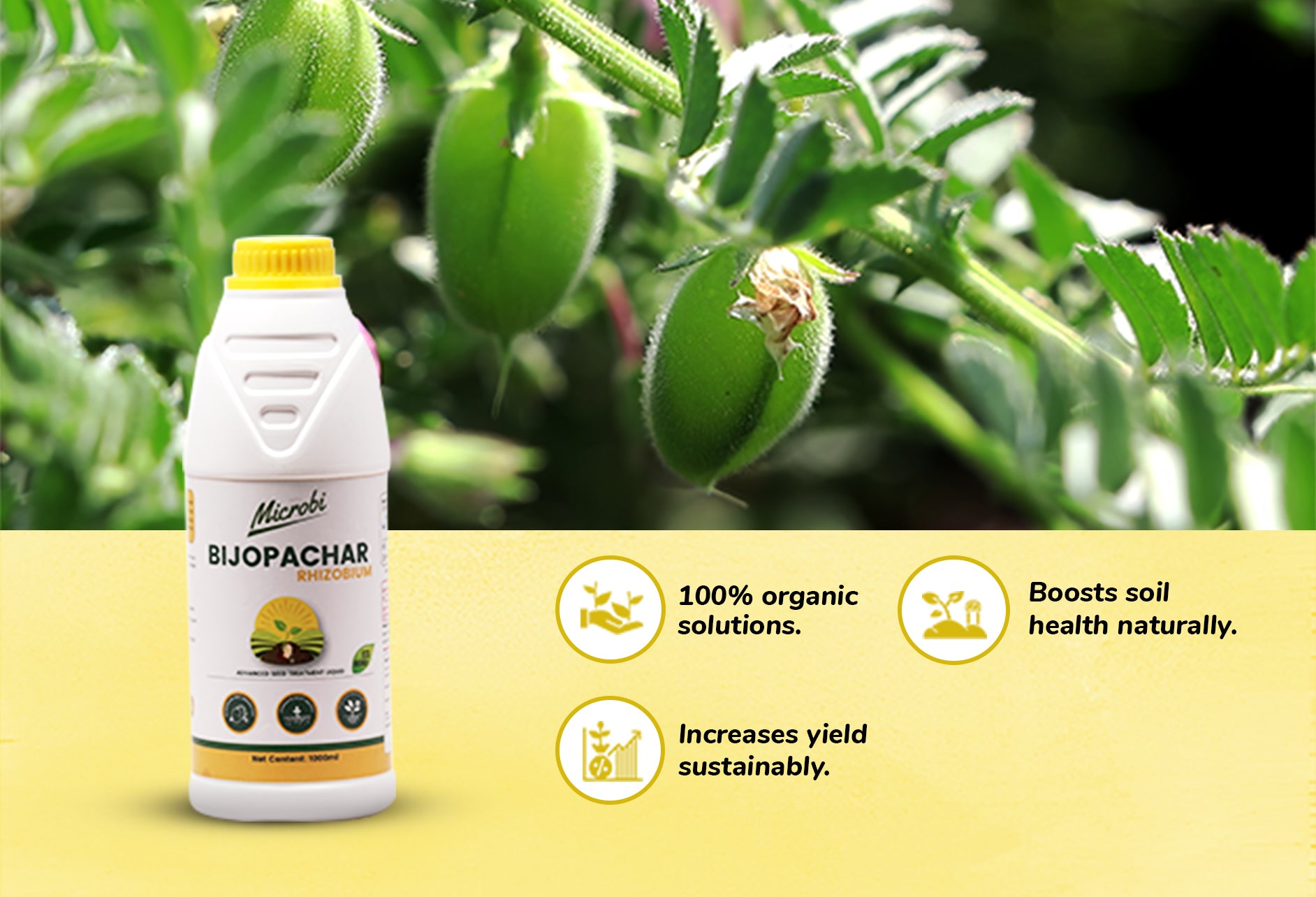 Dr. Soil - Bijopachar (Rhizobium)