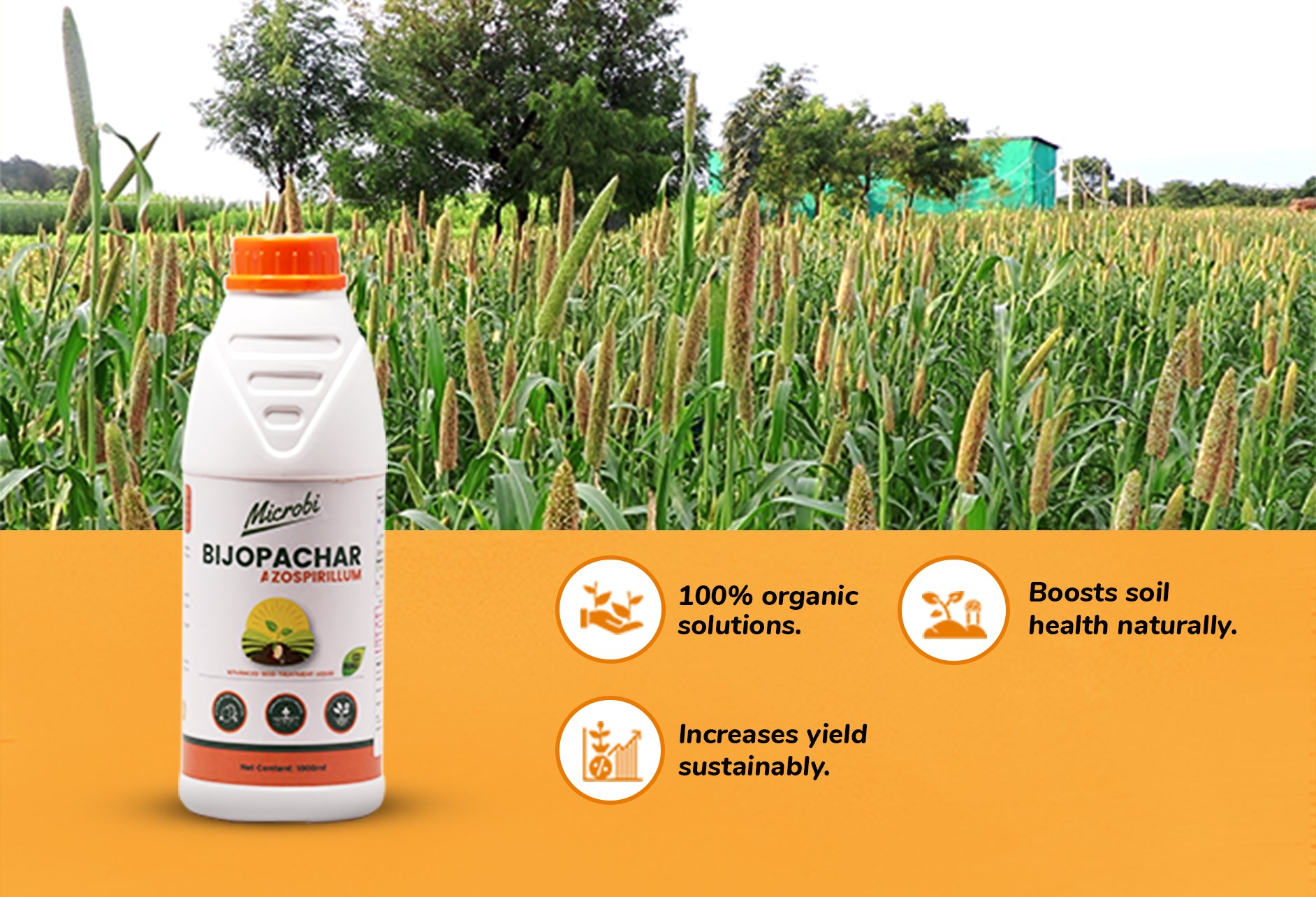 Dr. Soil - Bijopachar (Azospirillum)
