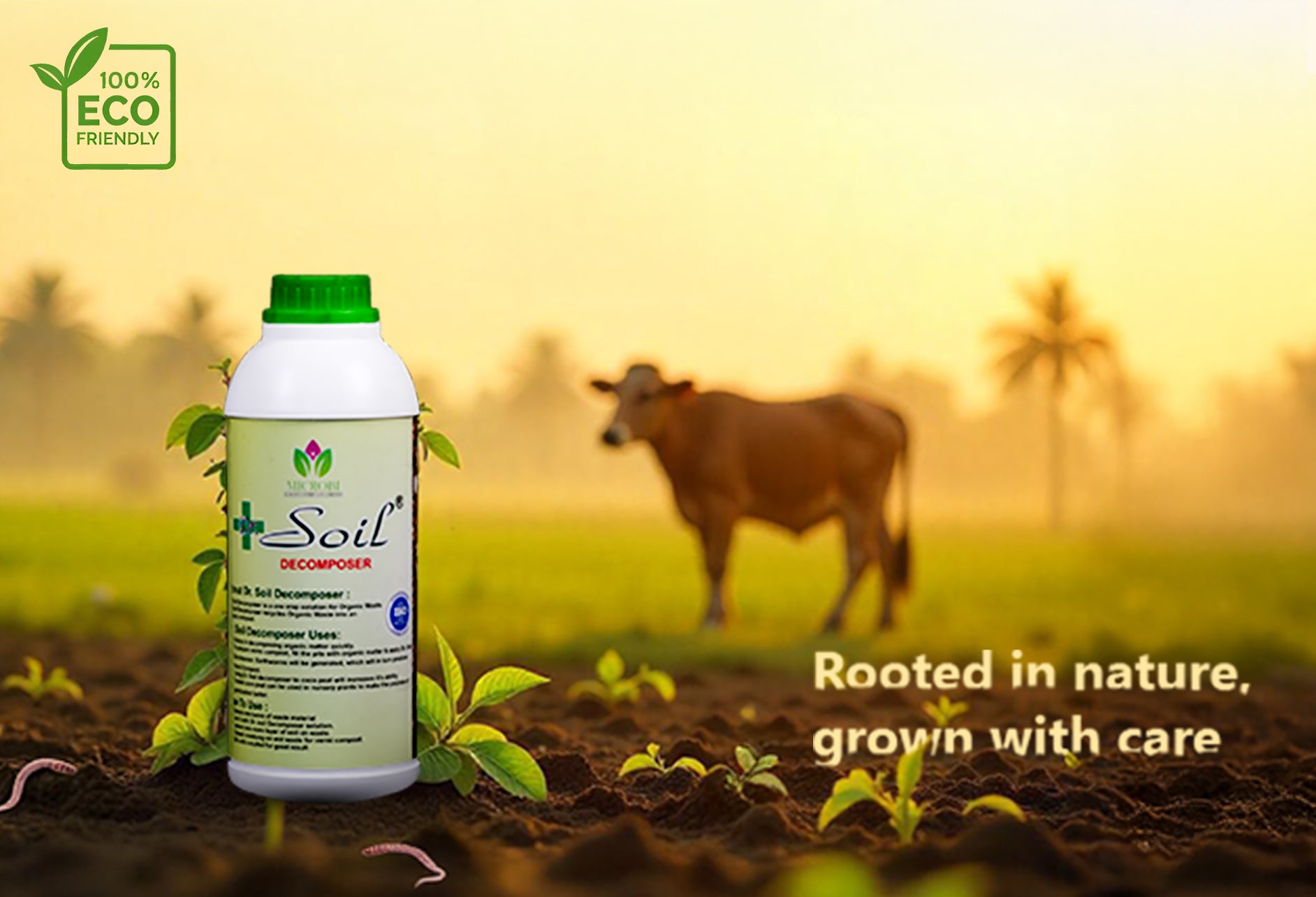 Dr. Soil Decomposer