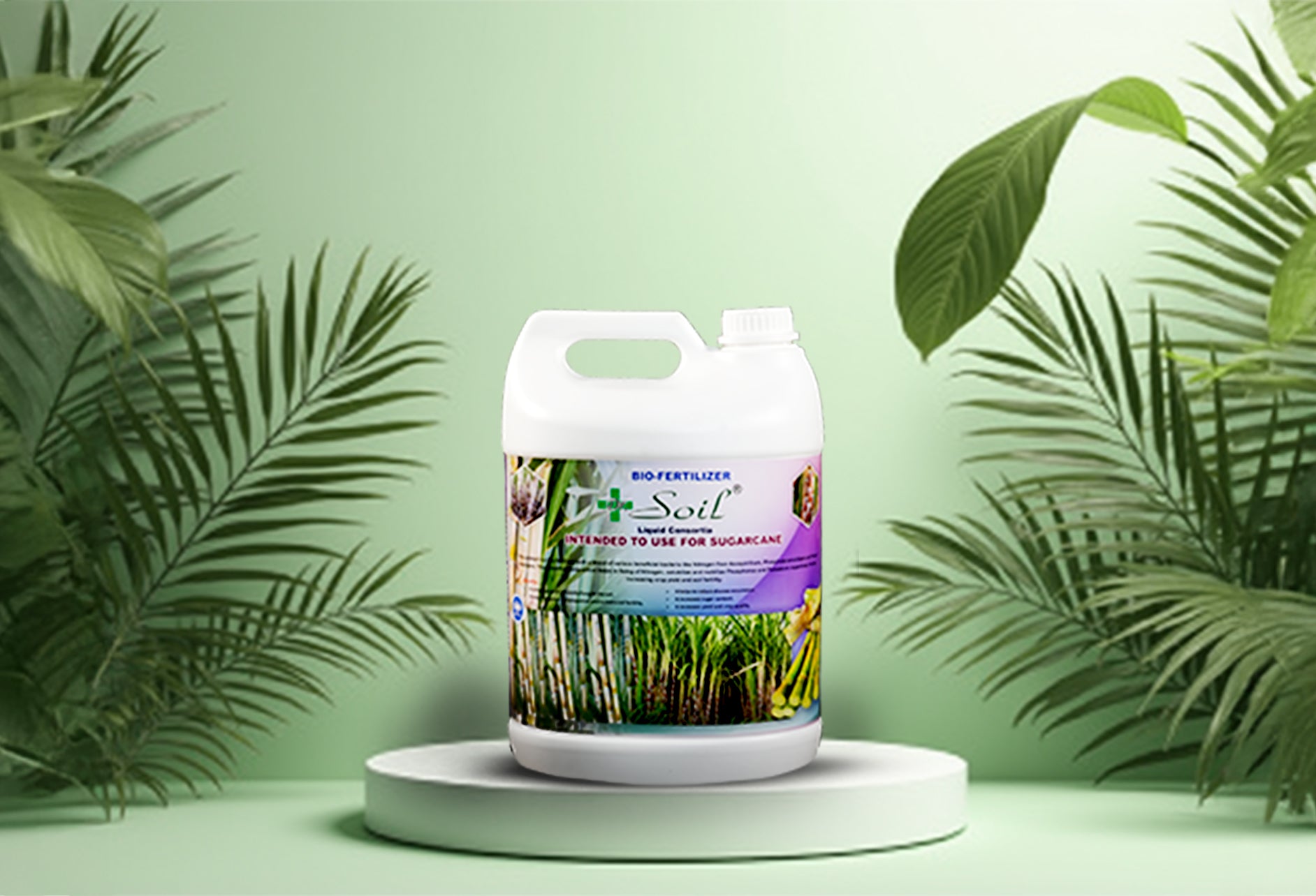 Dr. Soil Intended to use for Sugarcane