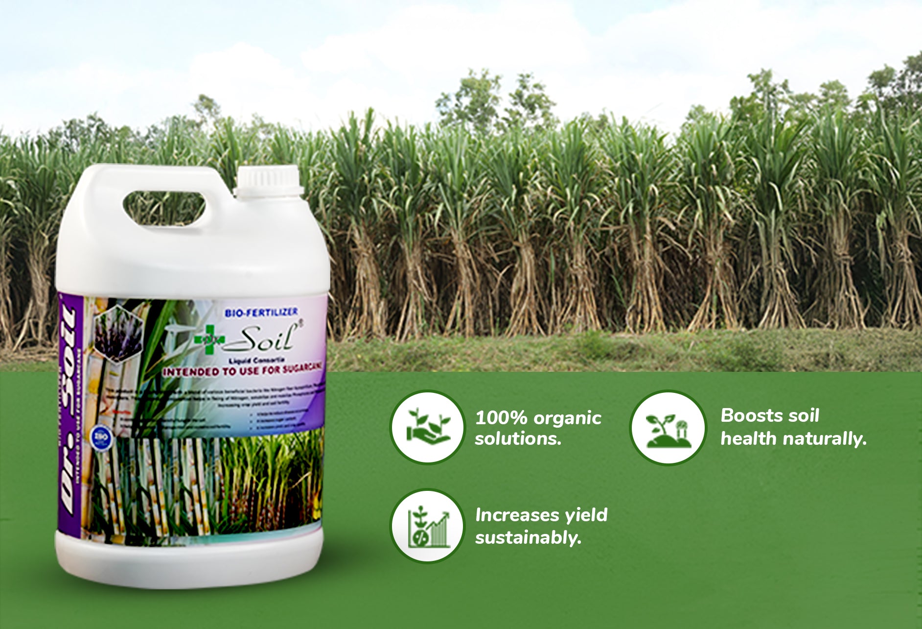 Dr. Soil Intended to use for Sugarcane