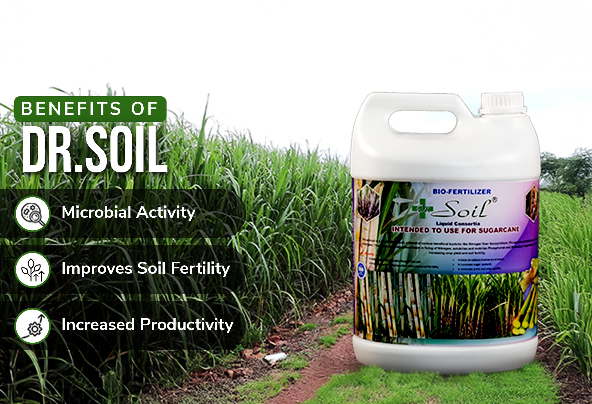 Dr. Soil Intended to use for Sugarcane