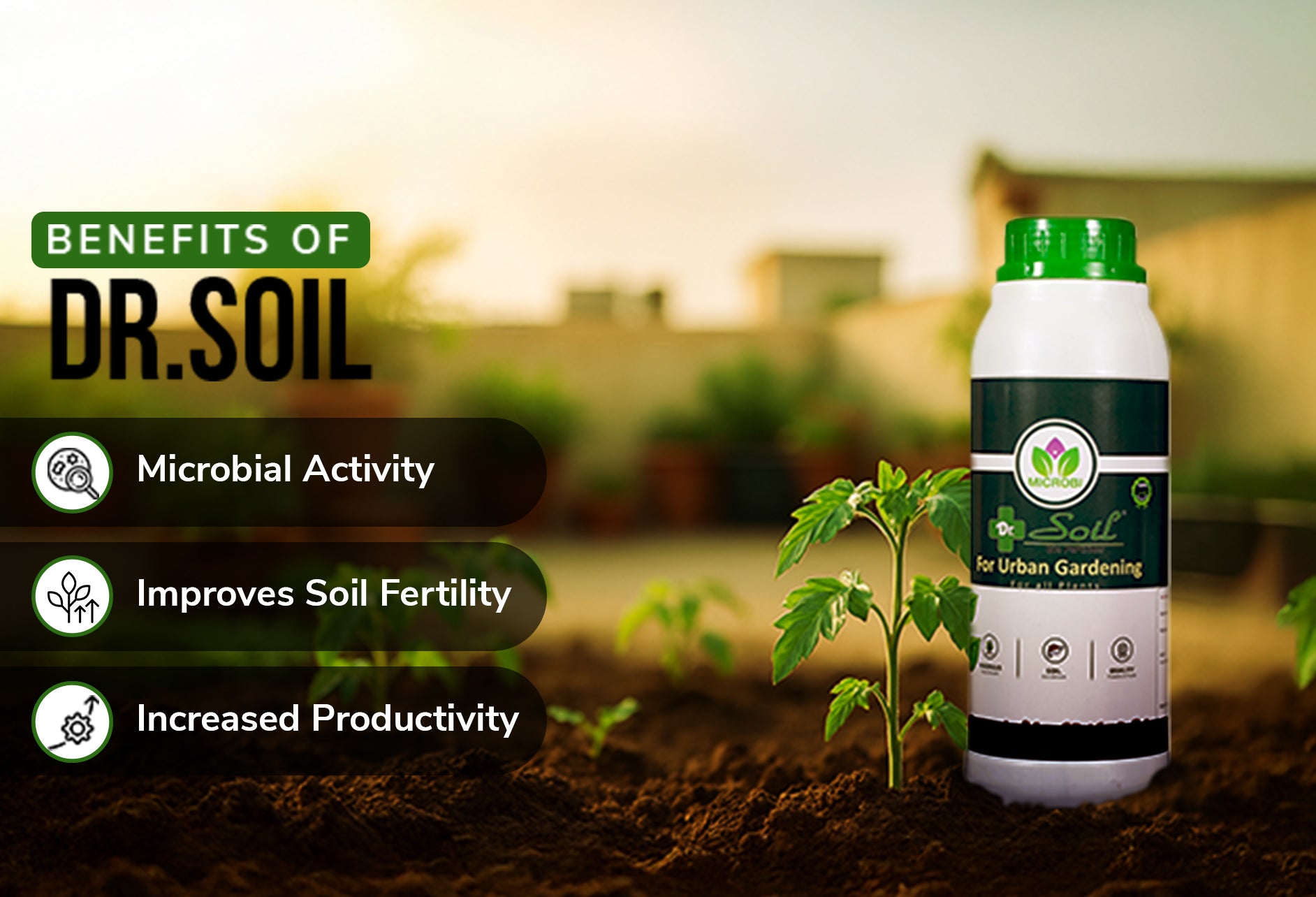 Dr. Soil Urban Gardening