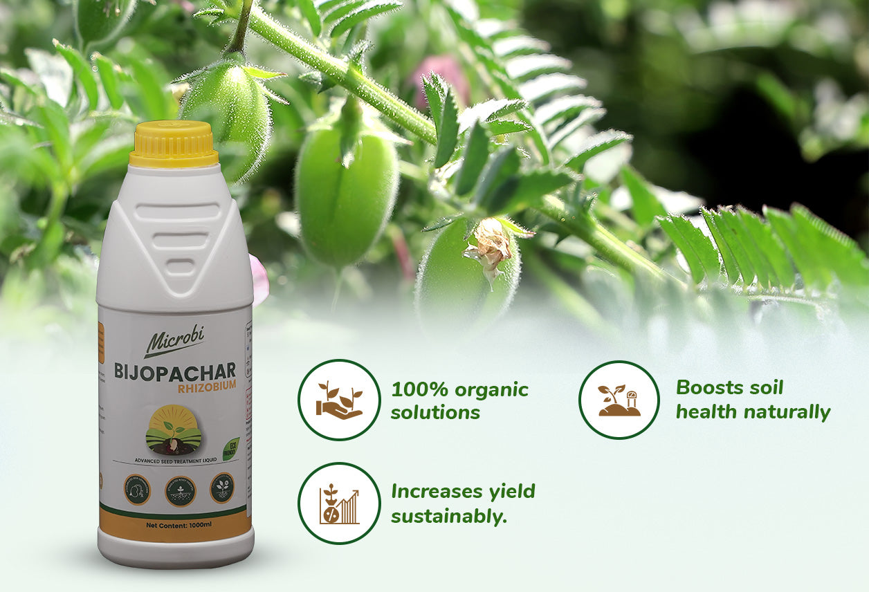 Dr. Soil - Bijopachar (Rhizobium)