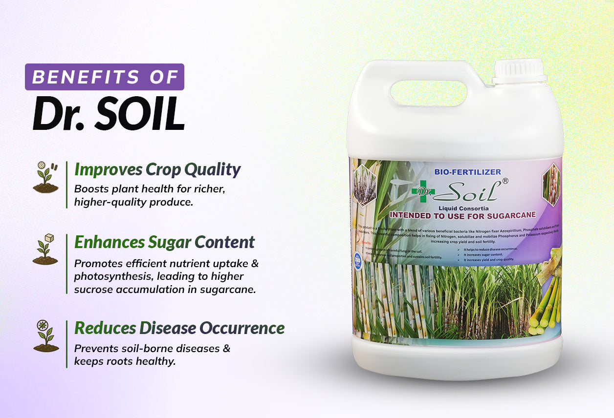Dr. Soil Intended to use for Sugarcane