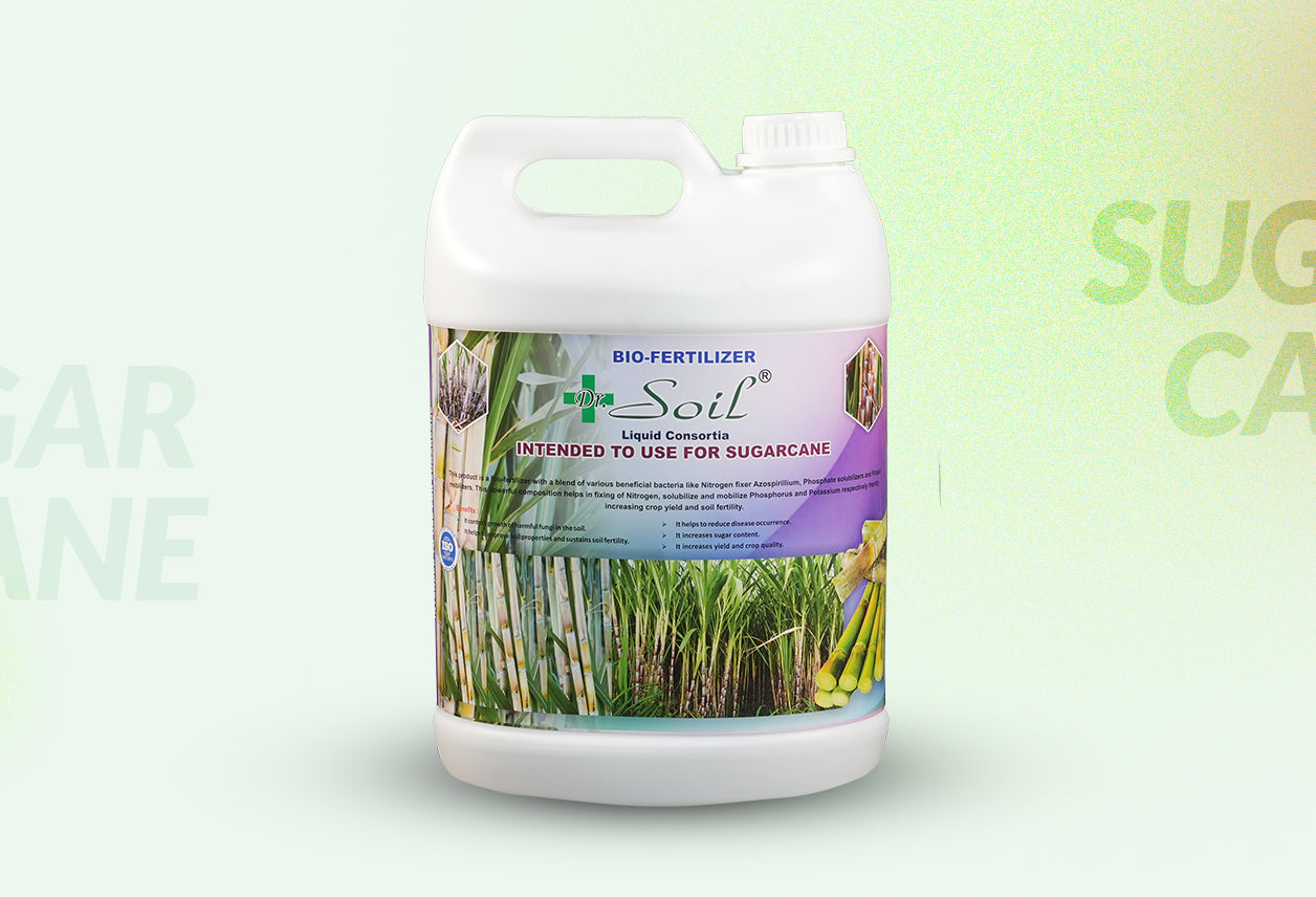 Dr. Soil Intended to use for Sugarcane