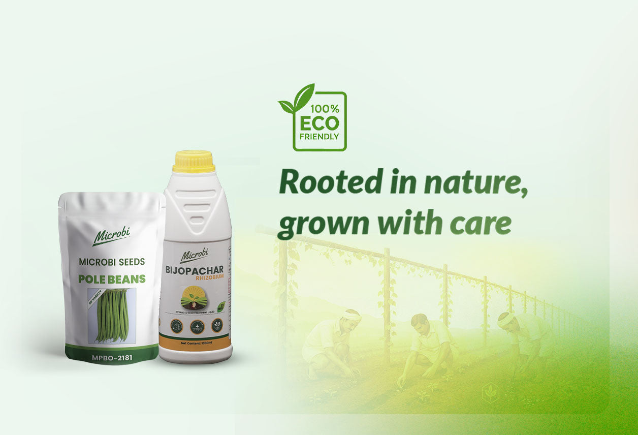 Microbi Pole Beans MPB 2181 Seed + Rhizobium Biofertilizer Combo | Strong Roots & Higher Yield