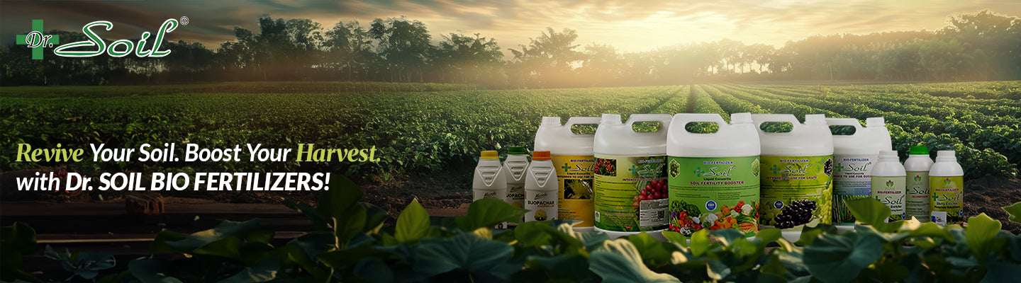 Biofertilizer