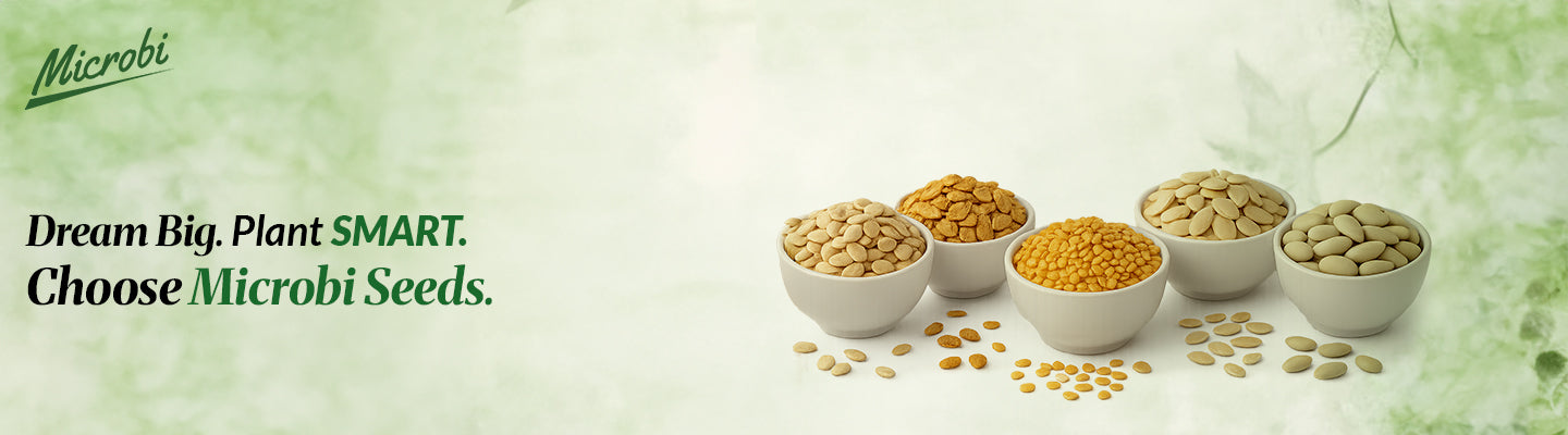 Seeds