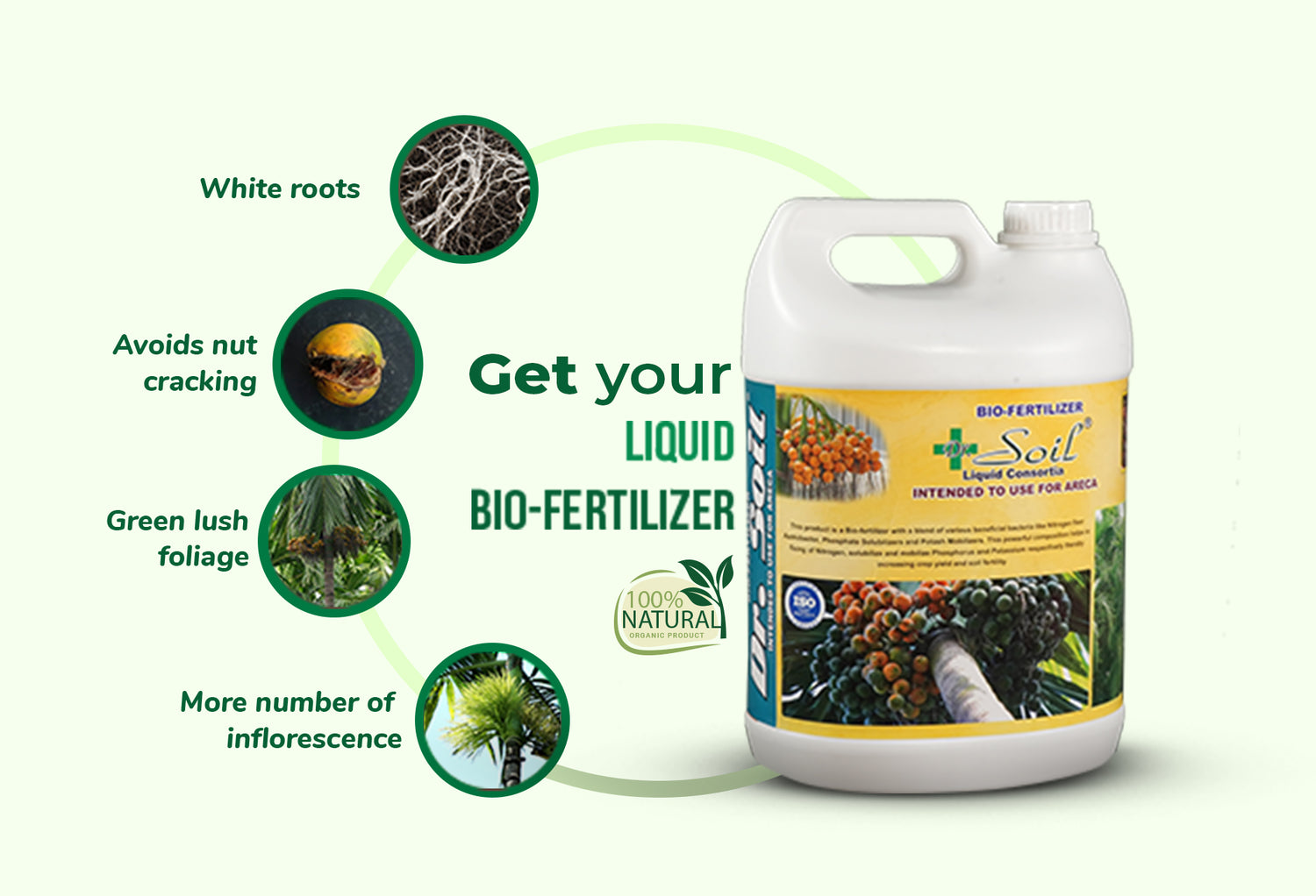 Dr. Soil Intended to use for Areca