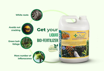 Dr. Soil Intended to use for Areca