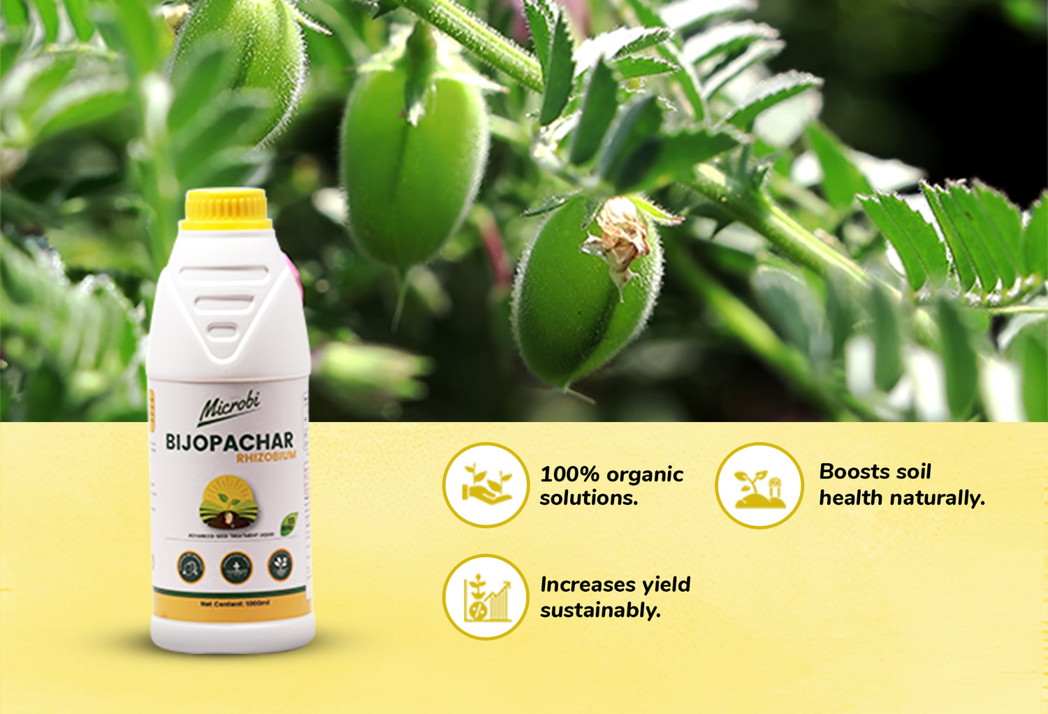 Dr. Soil - Bijopachar (Rhizobium)