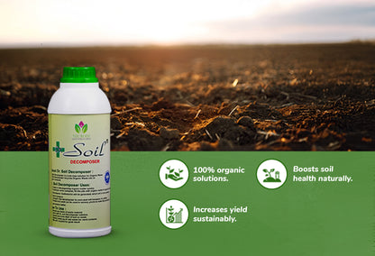 Dr. Soil Decomposer
