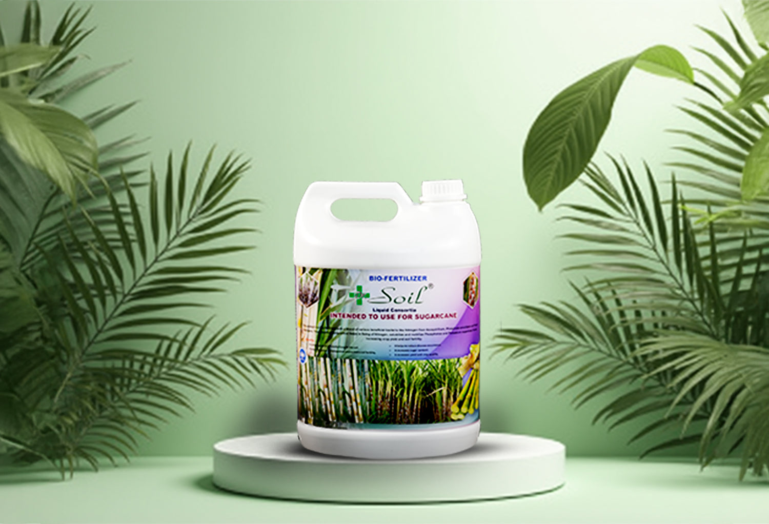 Dr. Soil Intended to use for Sugarcane