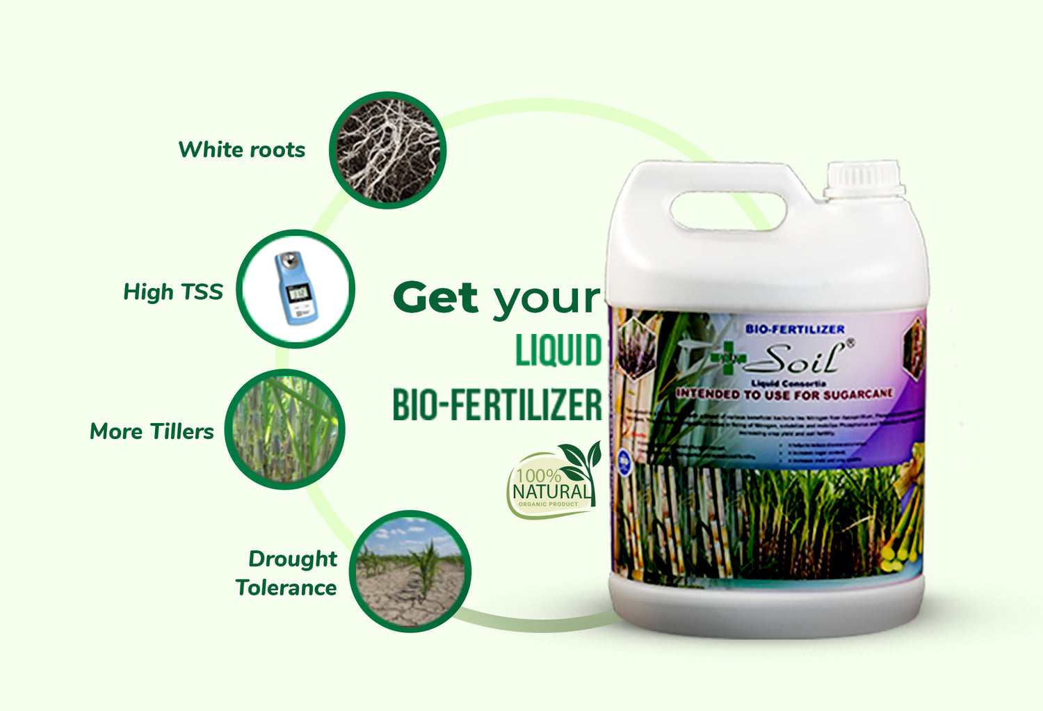 Dr. Soil Intended to use for Sugarcane