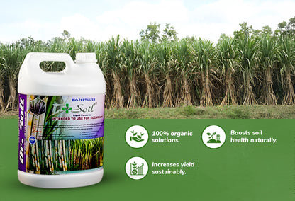 Dr. Soil Intended to use for Sugarcane