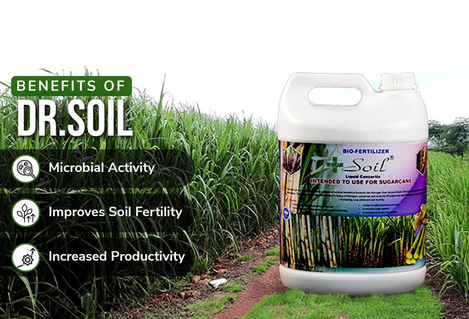 Dr. Soil Intended to use for Sugarcane
