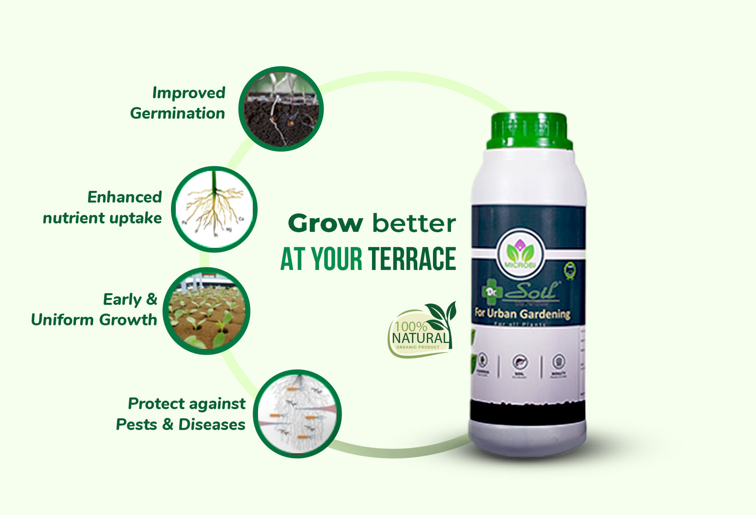 Dr. Soil Urban Gardening