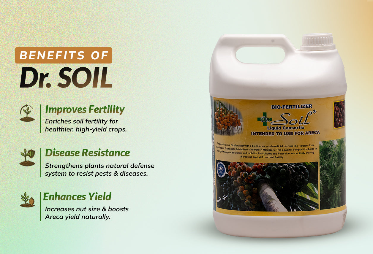 Dr. Soil Intended to use for Areca