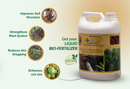 Dr. Soil Intended to use for Areca