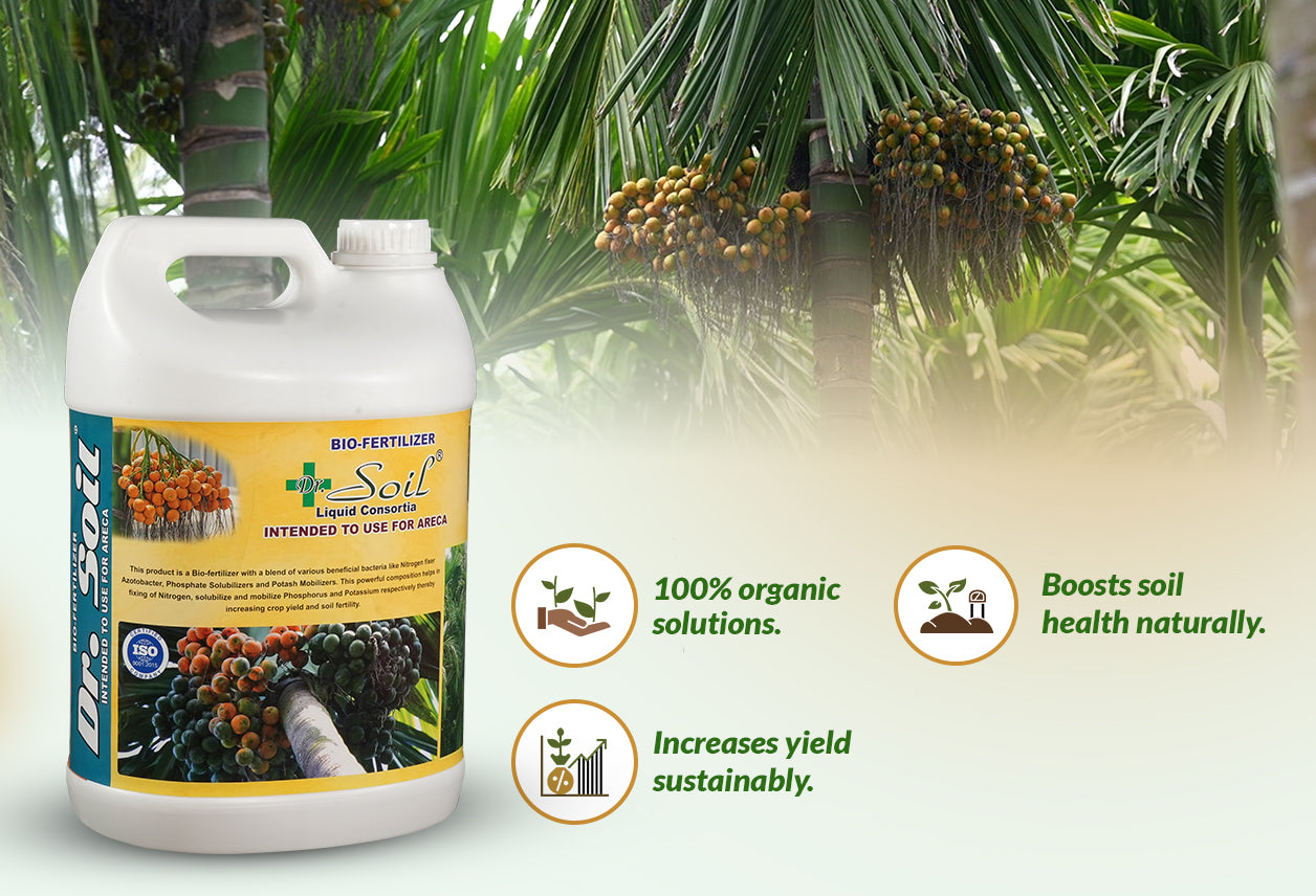 Dr. Soil Intended to use for Areca