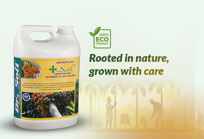 Dr. Soil Intended to use for Areca