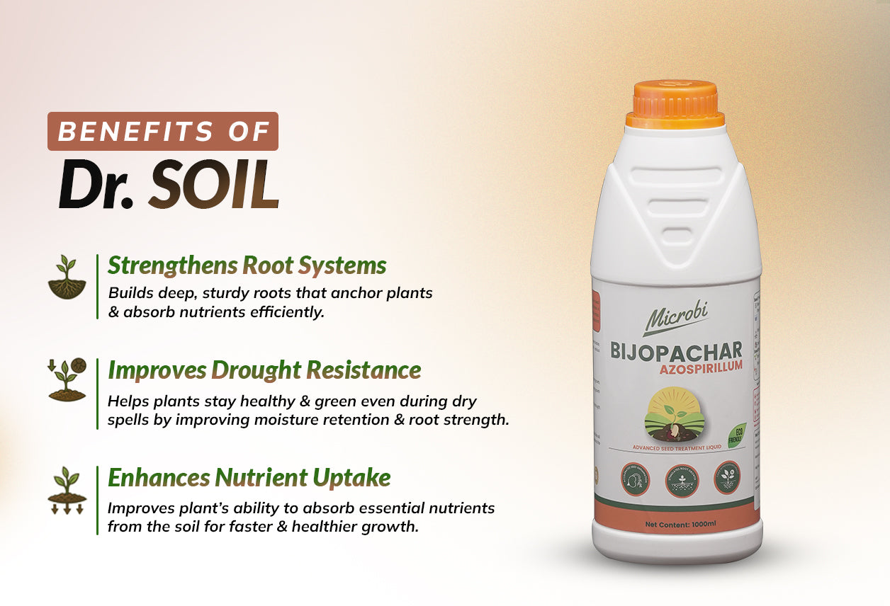 Dr. Soil - Bijopachar (Azospirillum)