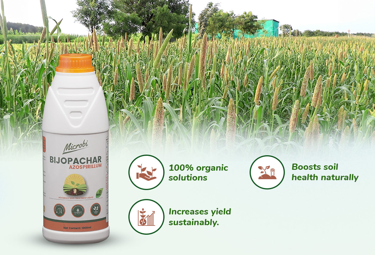 Dr. Soil - Bijopachar (Azospirillum)