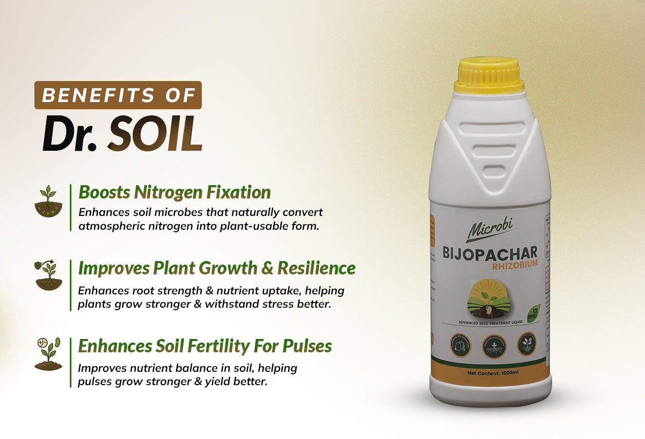 Dr. Soil - Bijopachar (Rhizobium)