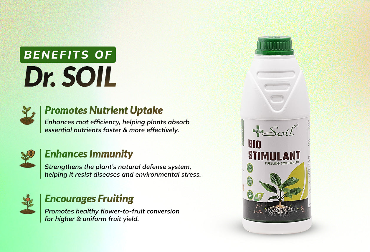 Dr. Soil Bio Stimulant