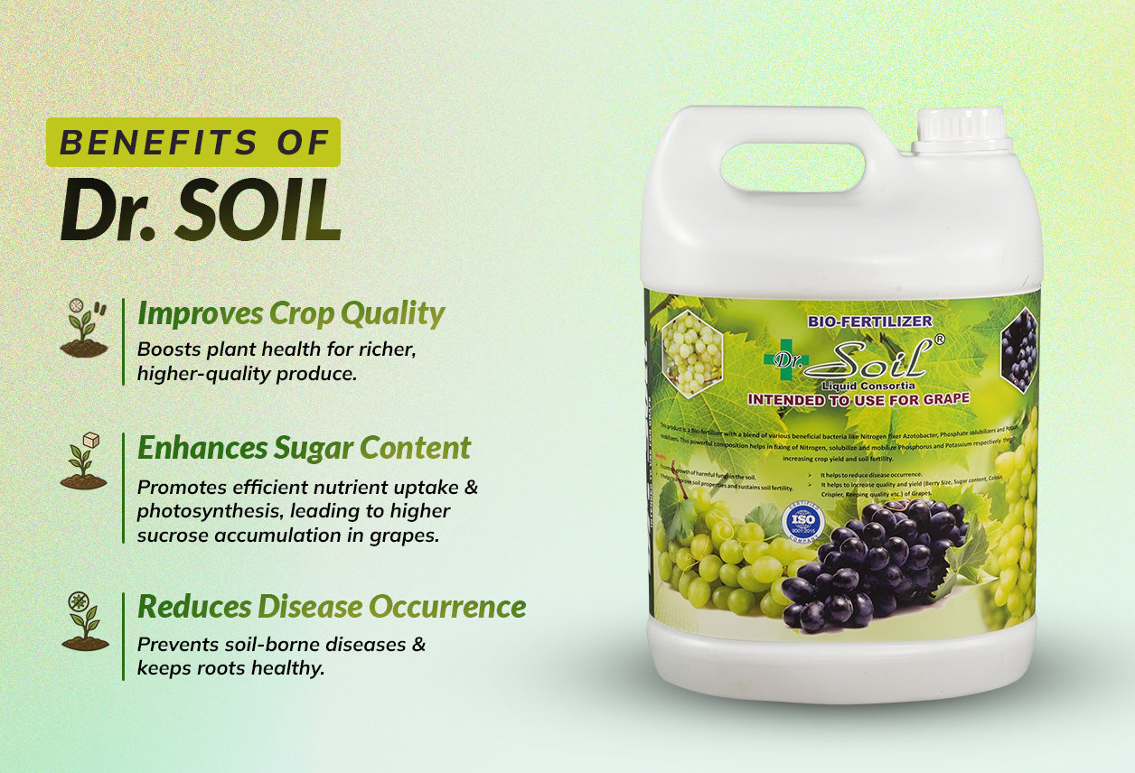 Dr. Soil Intended to use for Grapes