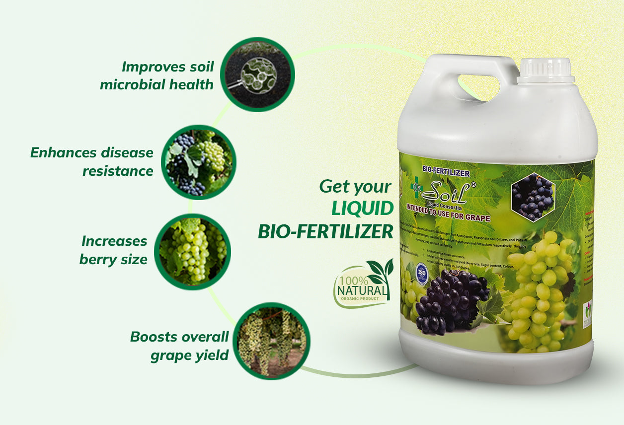 Dr. Soil Intended to use for Grapes