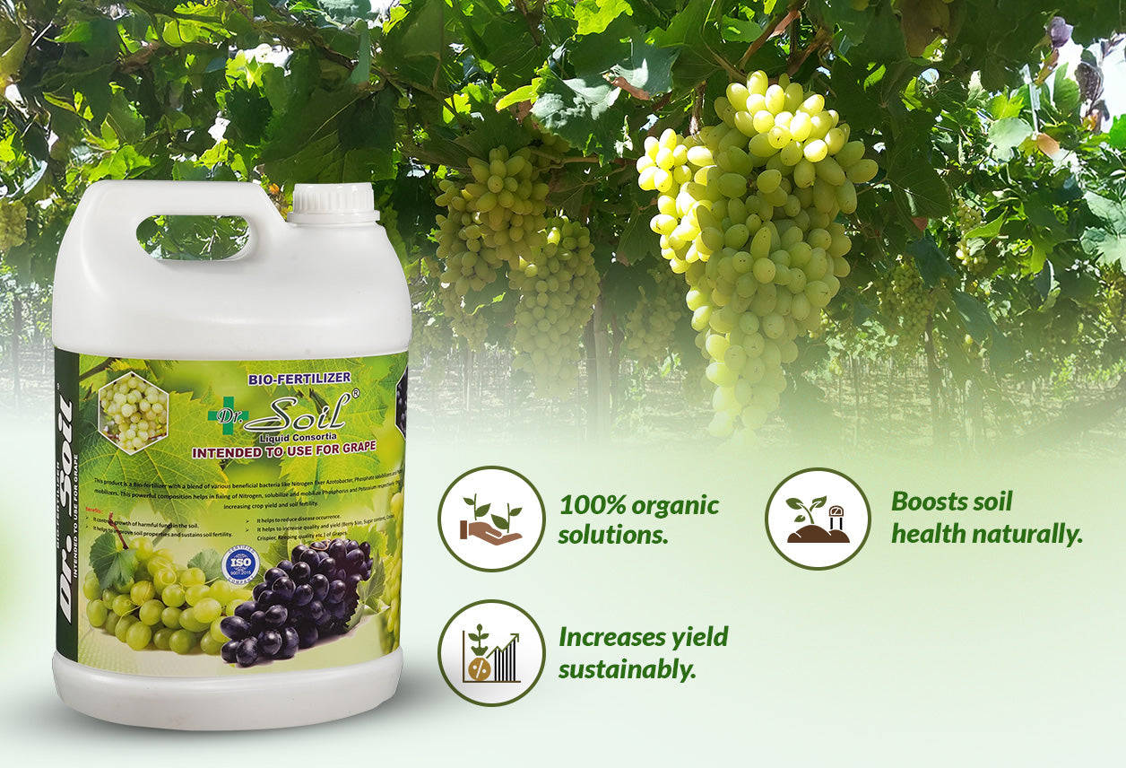 Dr. Soil Intended to use for Grapes