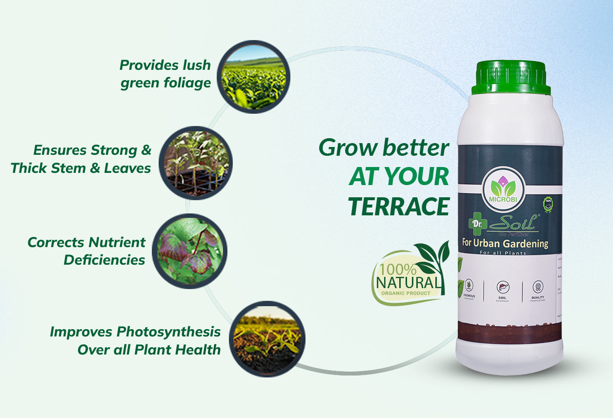 Dr. Soil Urban Gardening