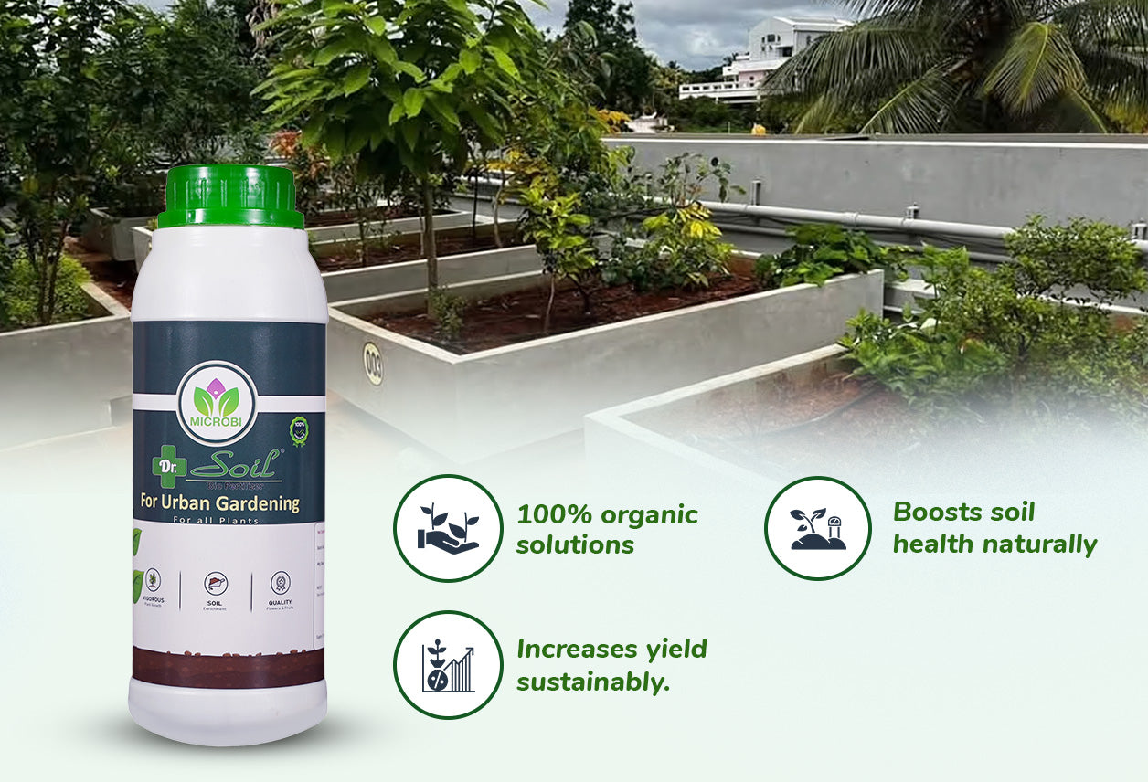 Dr. Soil Urban Gardening