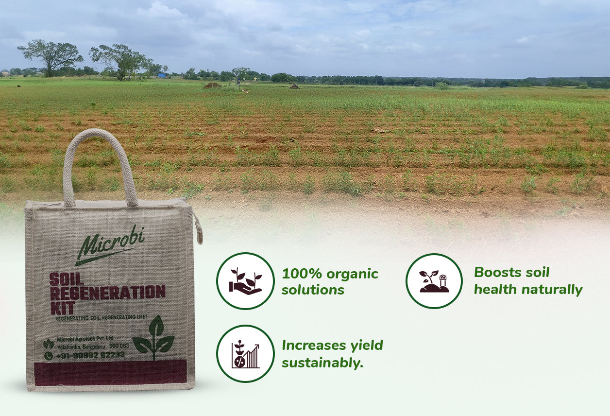 Microbi Soil Regeneration Kit