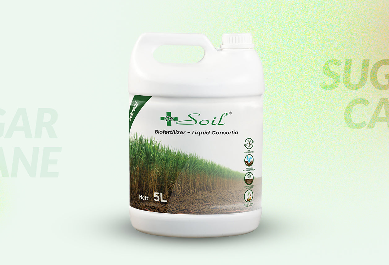 Dr. Soil Intended to use for Sugarcane