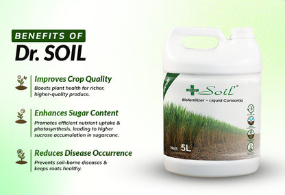Dr. Soil Intended to use for Sugarcane