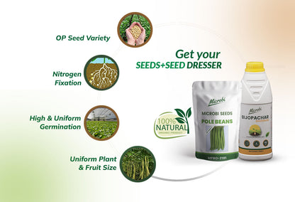 Microbi Pole Beans MPB 2181 Seed + Rhizobium Biofertilizer Combo | Strong Roots &amp; Higher Yield