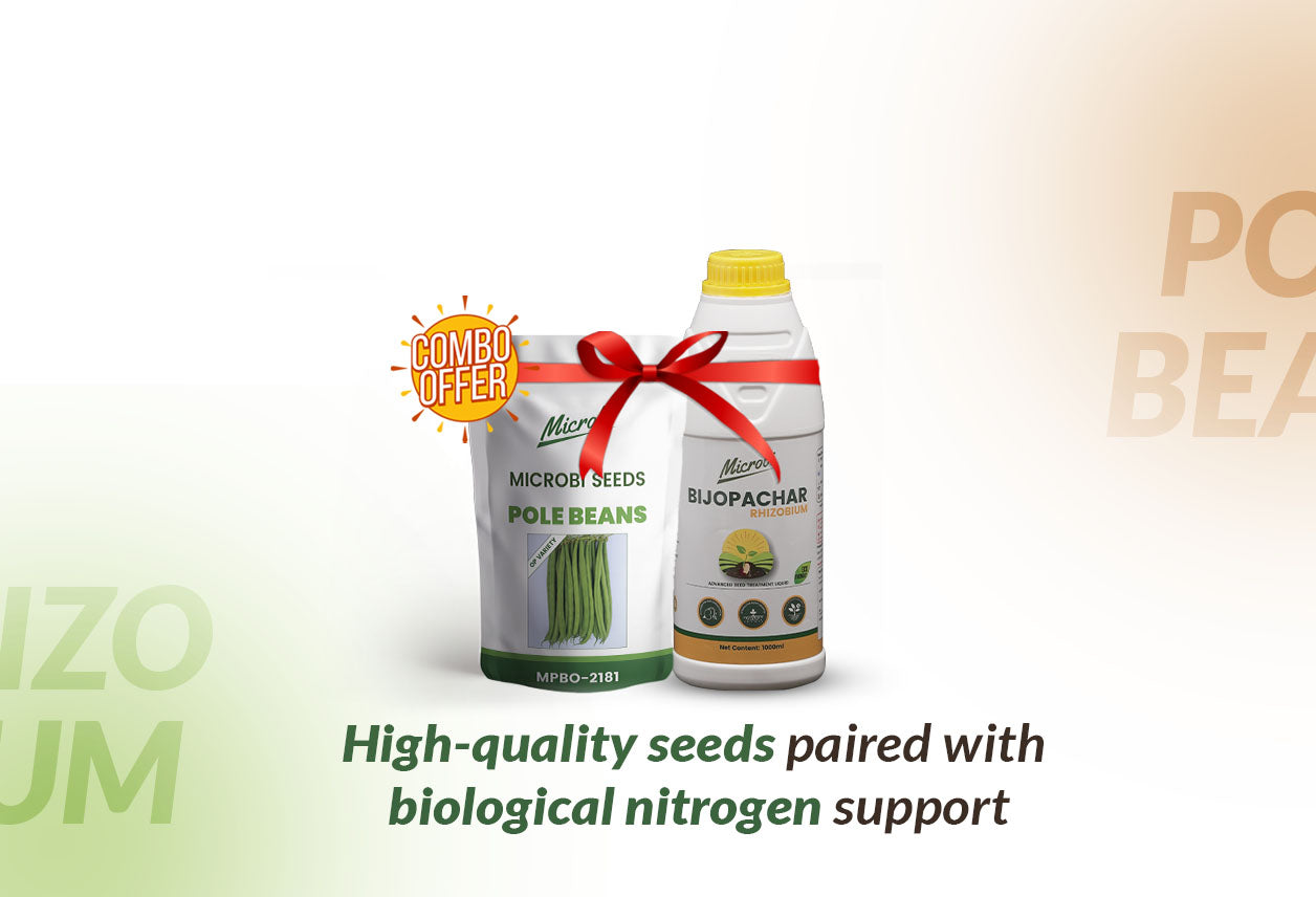 Microbi Pole Beans MPB 2181 Seed + Rhizobium Biofertilizer Combo | Strong Roots &amp; Higher Yield
