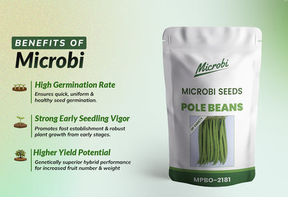 Microbi Pole Beans – MPB 2181- 1 KG