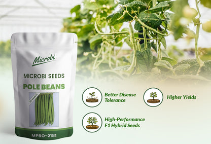 Microbi Pole Beans – MPB 2181- 1 KG