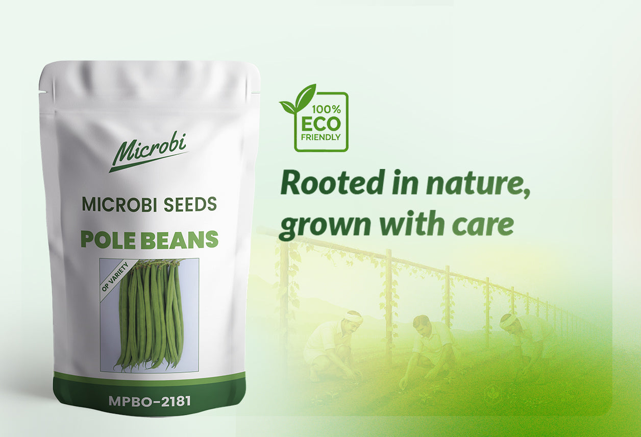 Microbi Pole Beans – MPB 2181- 1 KG